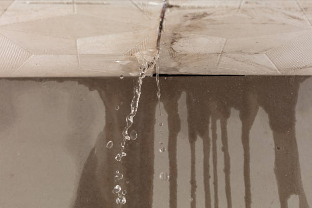 Professional Burst Pipe Cleanup technician working in Albertville, MN
